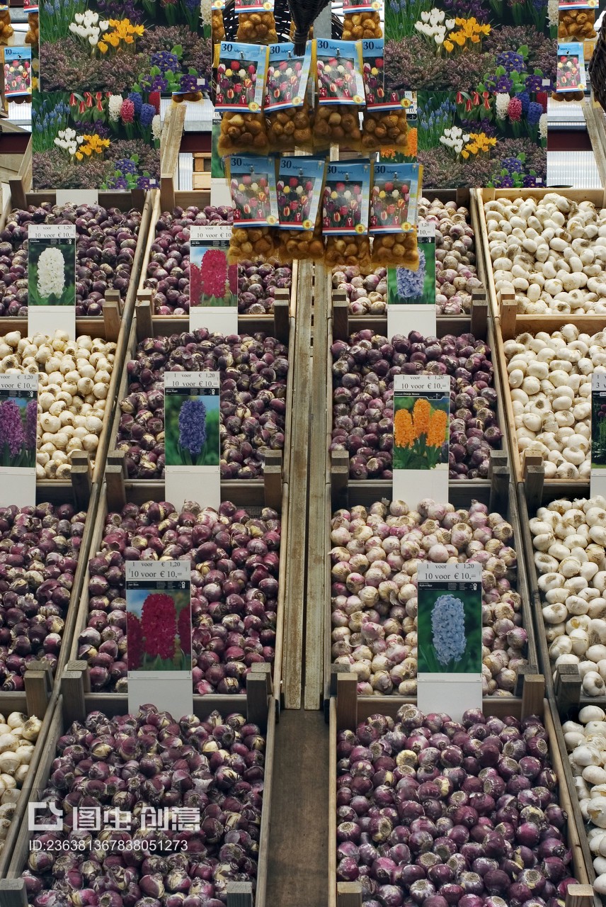 阿姆斯特丹花市 當鮮花與針紡織品相遇的獨特魅力